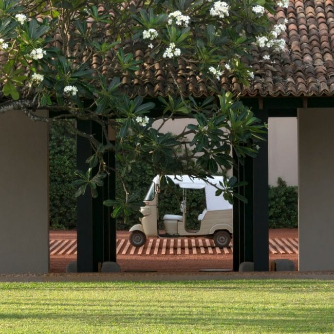 Amanwella 5 650x650 1