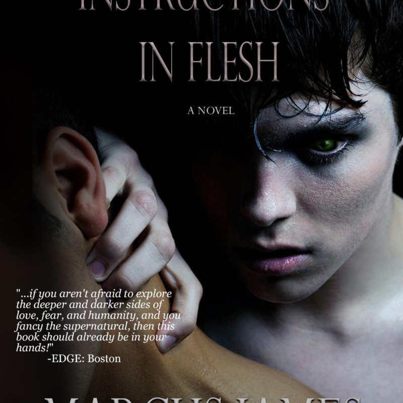 Instructions In Flesh by Marcus James